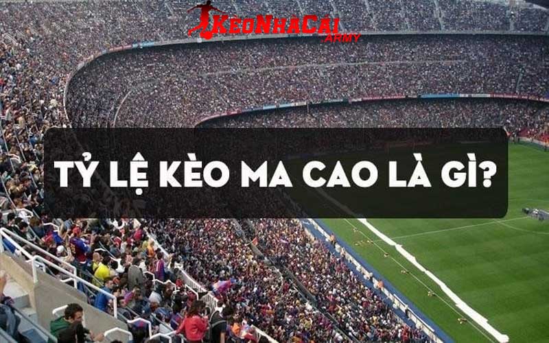 1 ty le keo macau la gi Tỷ lệ cược Macau là gì?